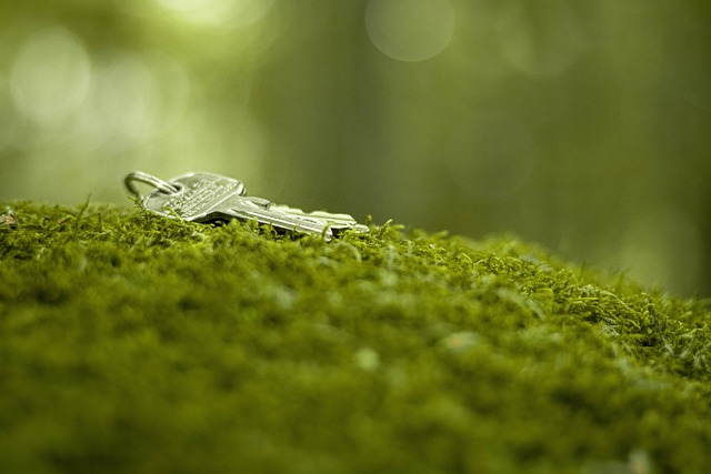 master key