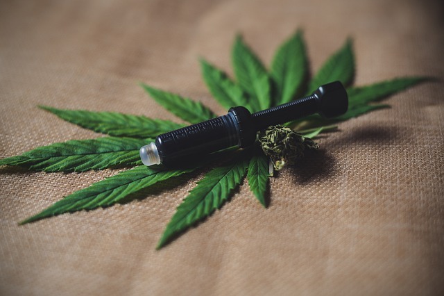 cannabis