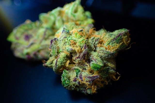 cannabis