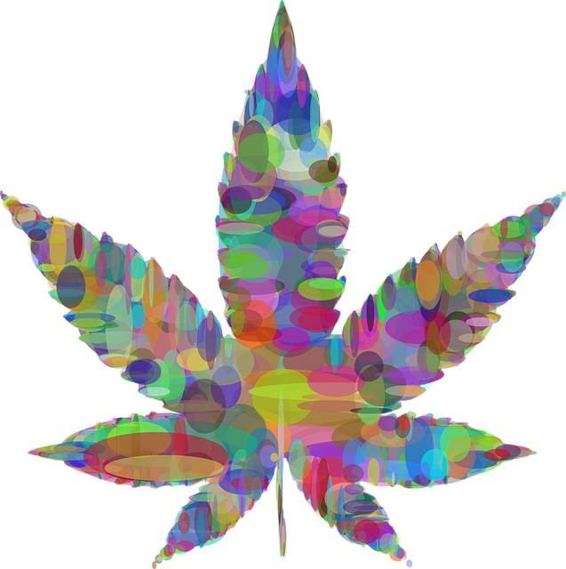 cannabis