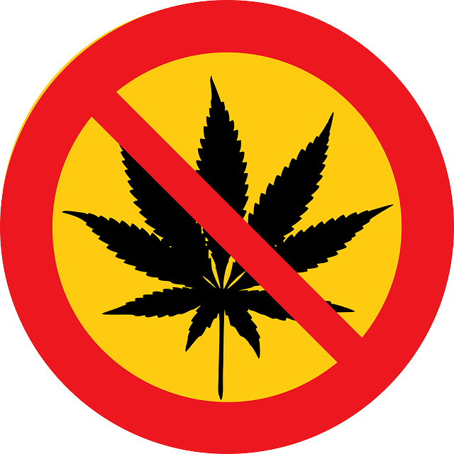 cannabis