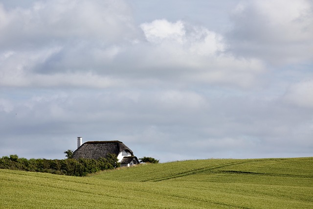 houses
