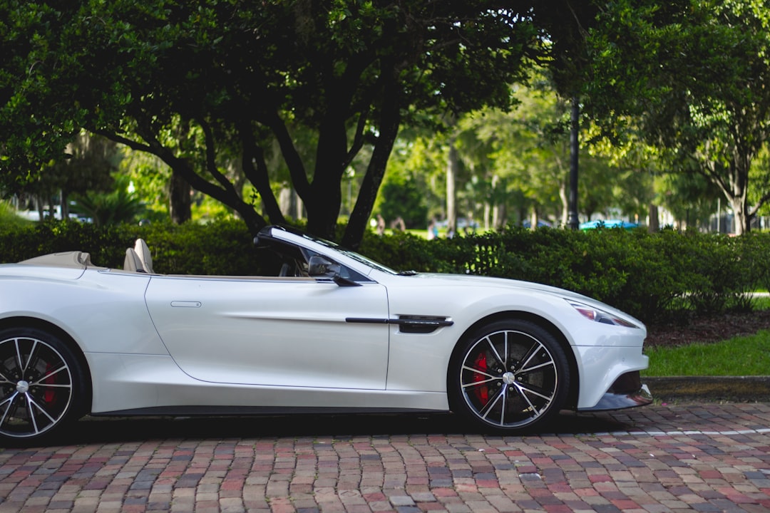 Essential Guide to Professional Car Lockout Services for Trunk Unlocking