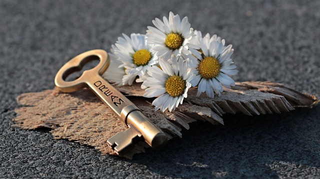 keys-640x480-1351133.jpeg