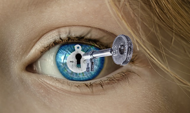 Mastering Master Key Systems: A Business Security Guide
