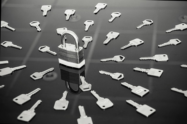 Mastering Master Keys: A Guide for Colorado Locksmiths