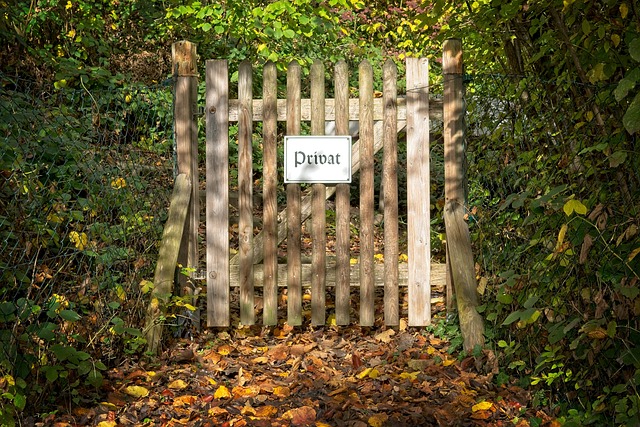 security door