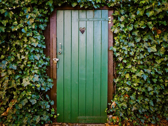 security door