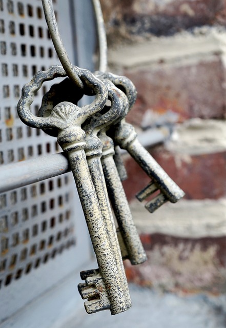 security door