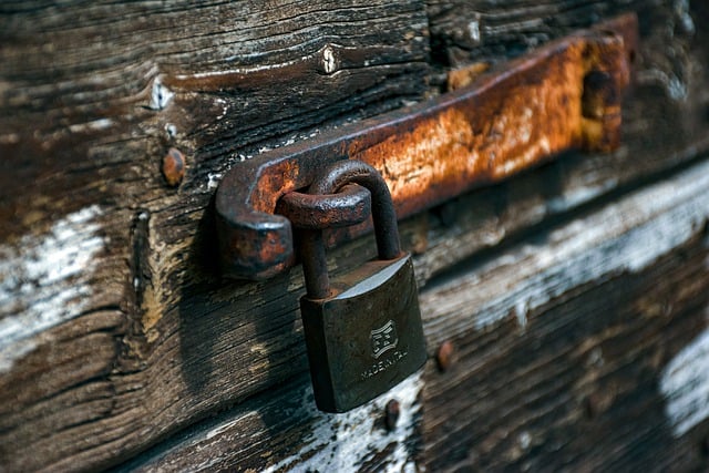 security-door-640x480-74483301.jpeg