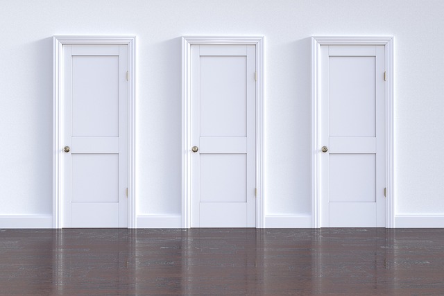 security door