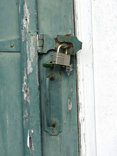 security door