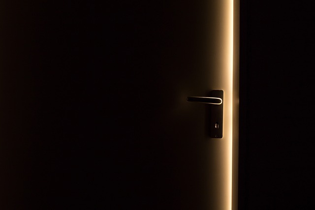 security door
