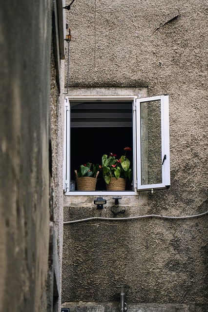 window security bar