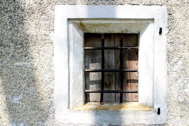 window security bar