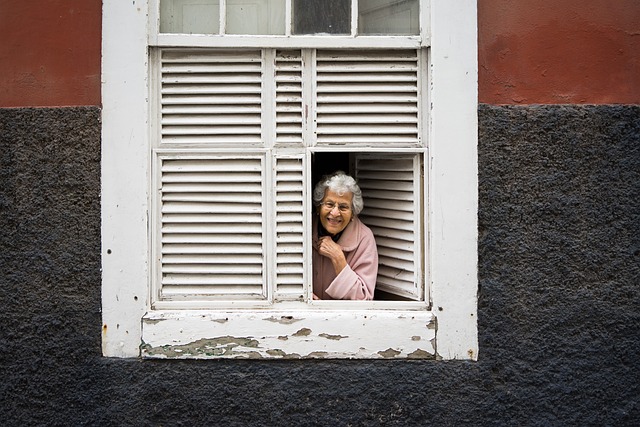 window security bar
