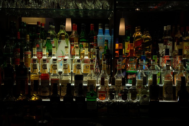 window security bar