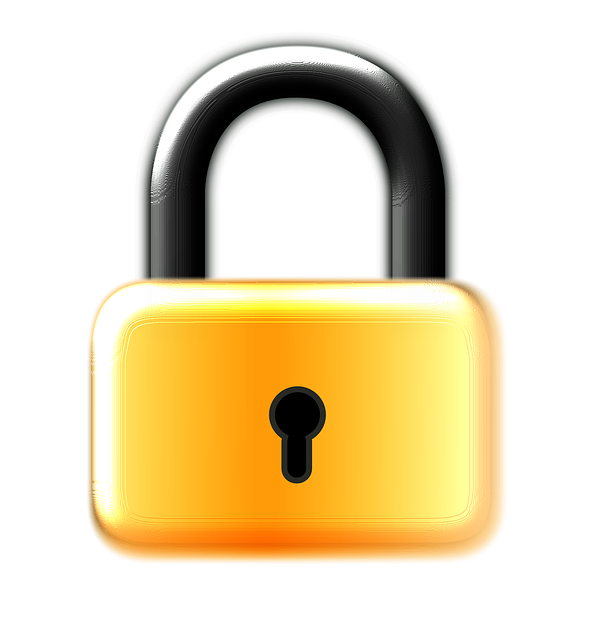 security-lock-640x480-70843489.png