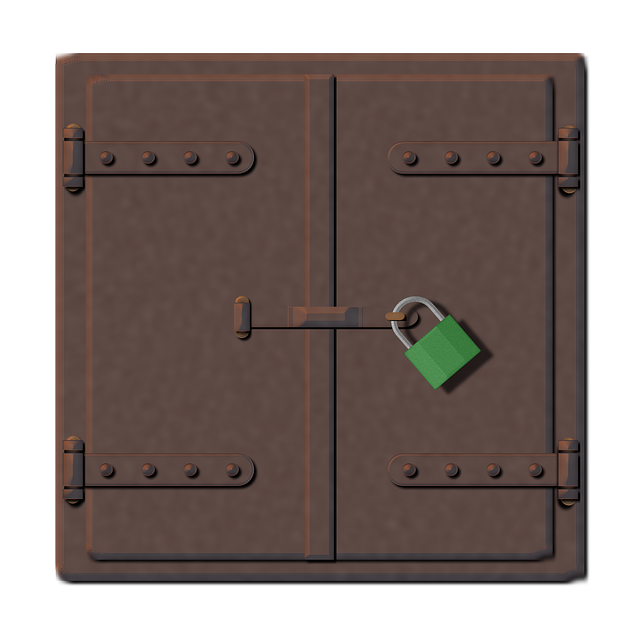 security door