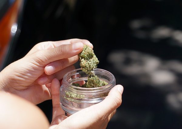 cannabis-640x480-20679922.jpeg