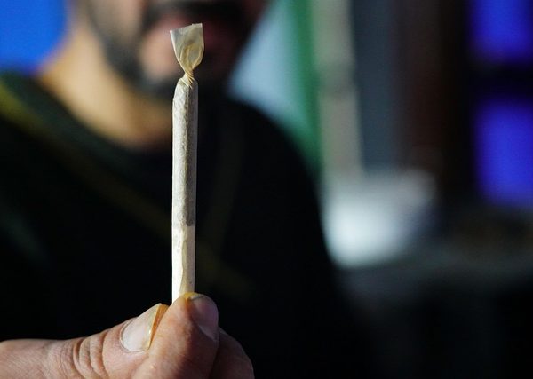cannabis-640x480-57802762.jpeg