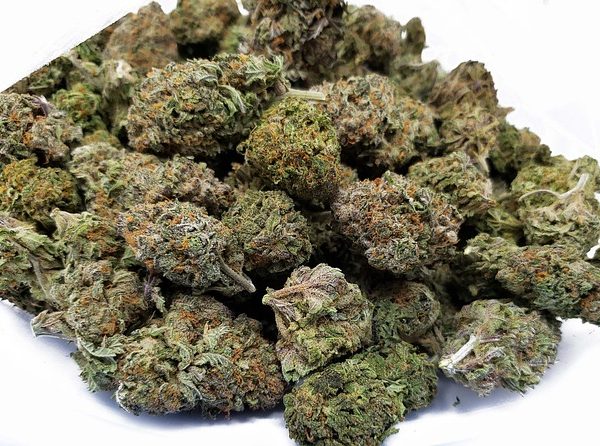cannabis-640x480-75916278.jpeg