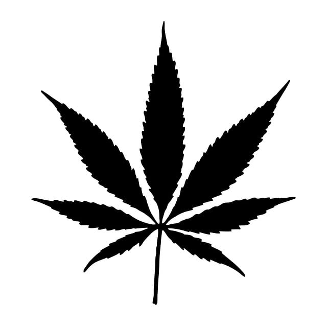 cannabis