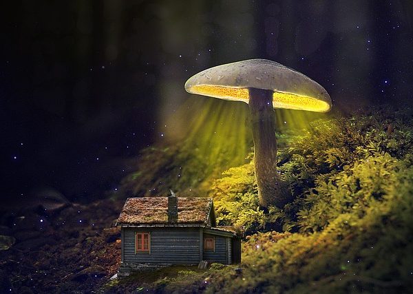 houses-640x480-67161233.jpeg