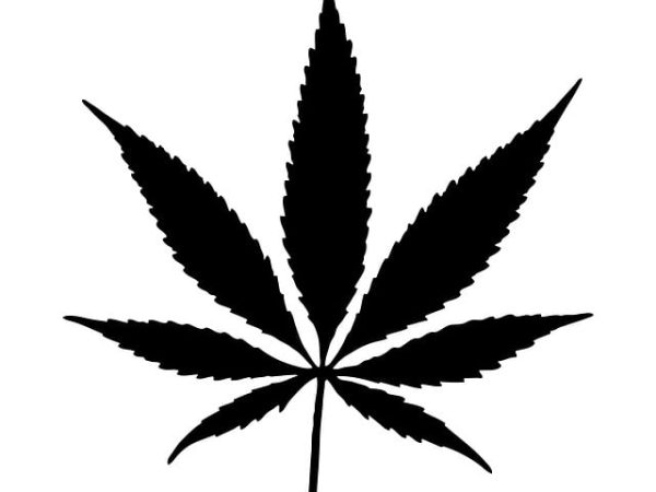 cannabis-640x480-36092779.jpeg