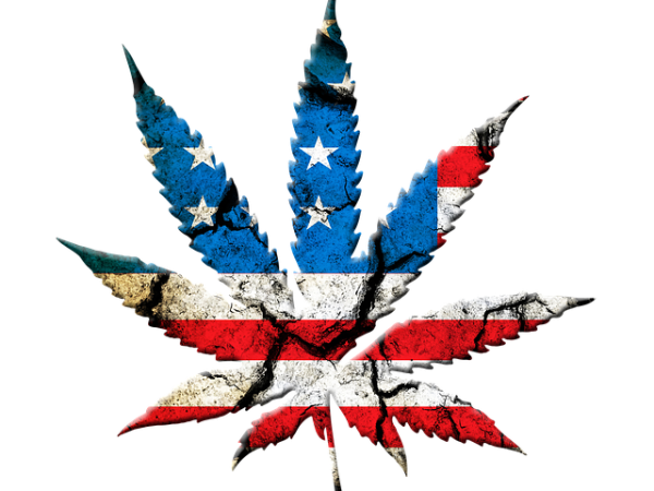 cannabis-640x480-57208207.png