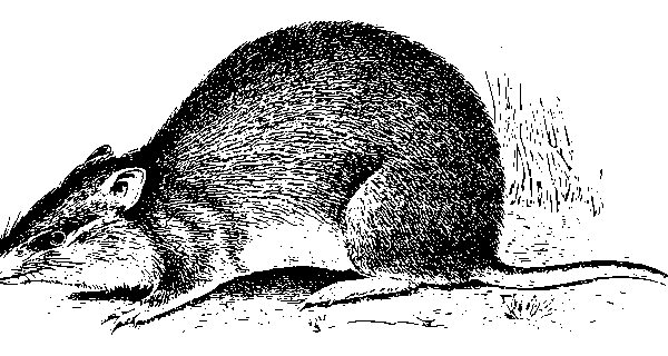 assets-640x480-44915062.png