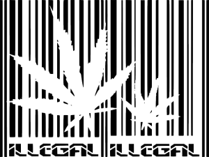 cannabis-640x480-59500315.png