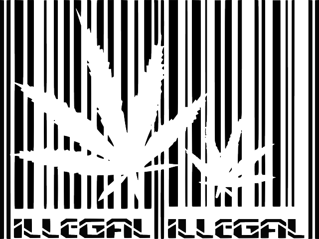 cannabis-640x480-59500315.png