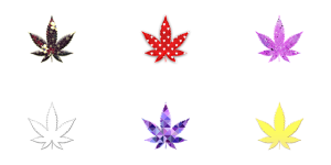 cannabis-640x480-60741293.png