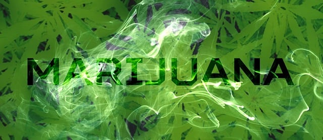 cannabis