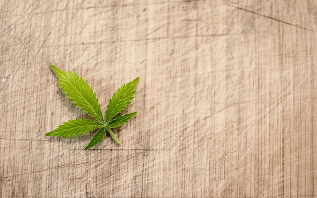 cannabis