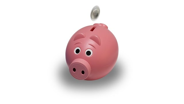 loans