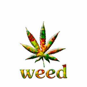 cannabis-640x480-10349643.png