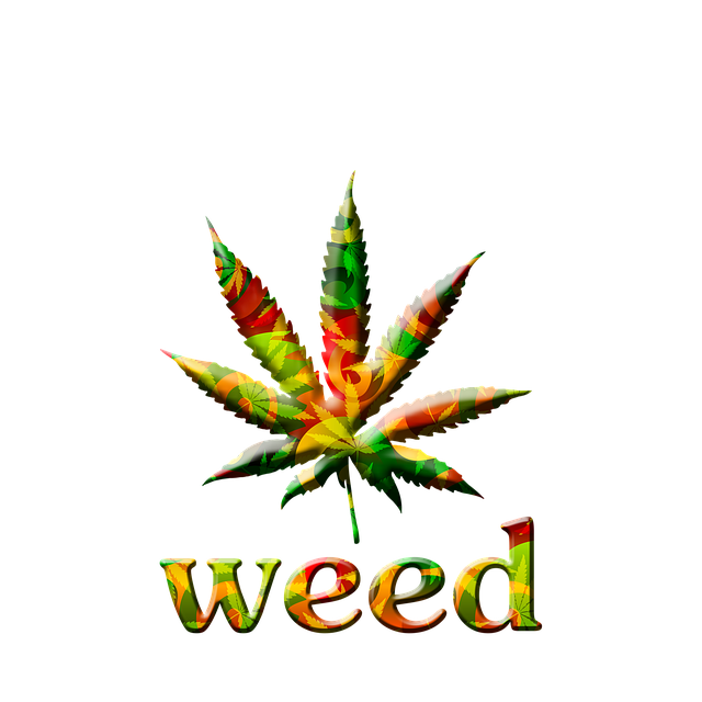 cannabis-640x480-10349643.png