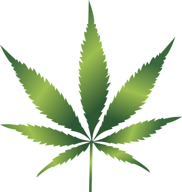 cannabis