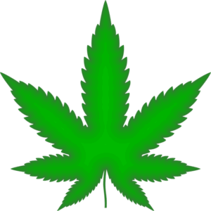 cannabis-640x480-4613902.png