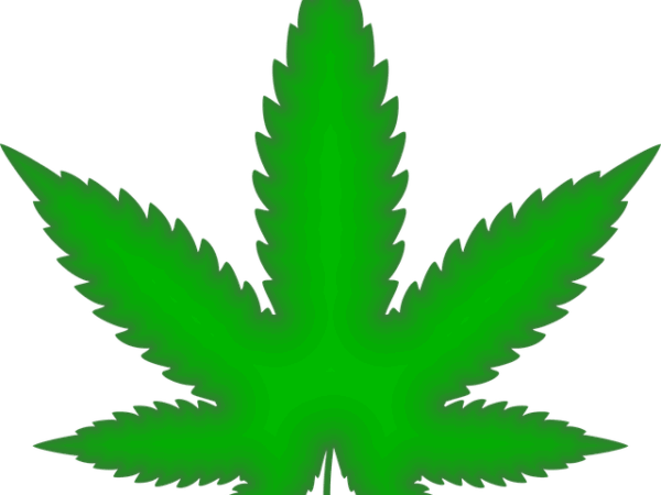 cannabis-640x480-4613902.png