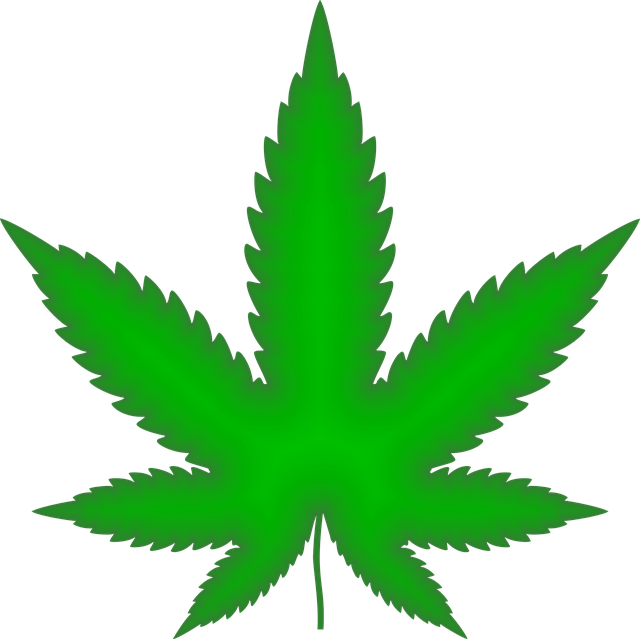 cannabis-640x480-4613902.png