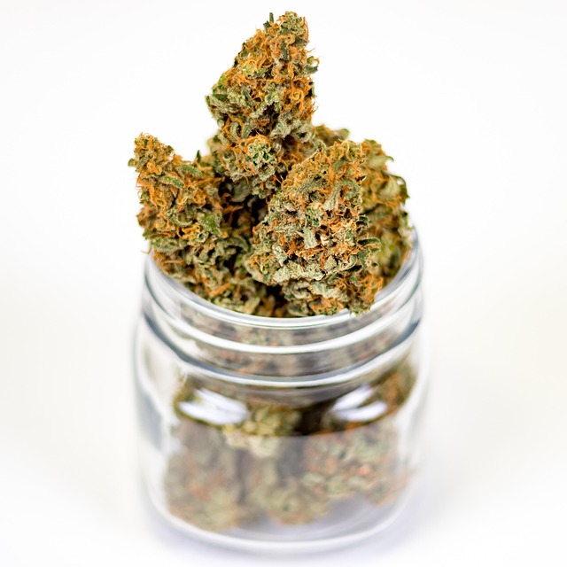 cannabis