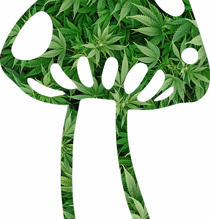 cannabis-640x480-76471507.png