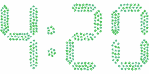 cannabis-640x480-99240371.png