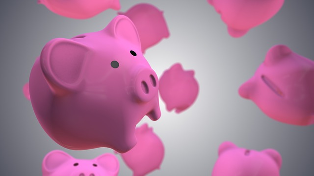 loans
