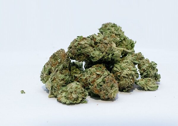 cannabis-640x480-21003845.jpeg
