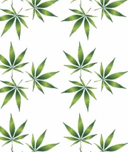 cannabis-640x480-32732005.png