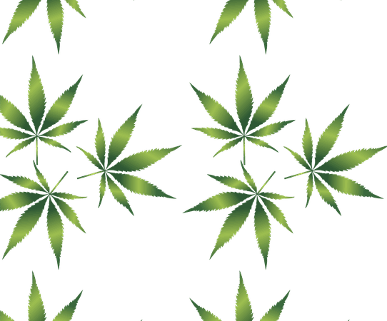 cannabis-640x480-32732005.png